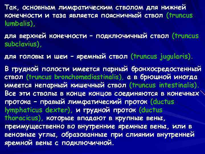 Так, основным лимфатическим стволом для нижней конечности и таза является поясничный ствол (truncus lumbalis),