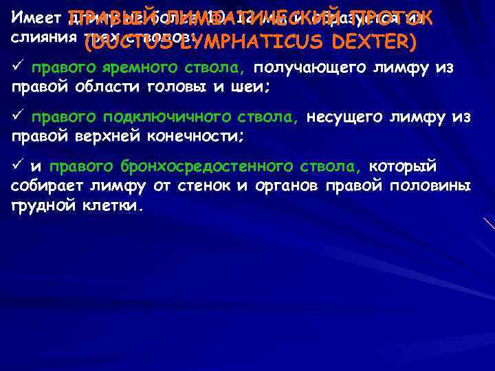 Имеет ПРАВЫЙ ЛИМФАТИЧЕСКИЙ ПРОТОК длину не более 10 -12 мм и образуется из слияния