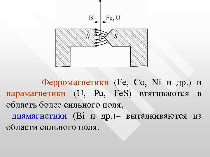  Ферромагнетики (Fe, Co, Ni и др. ) и парамагнетики (U, Pu, Fe. S)