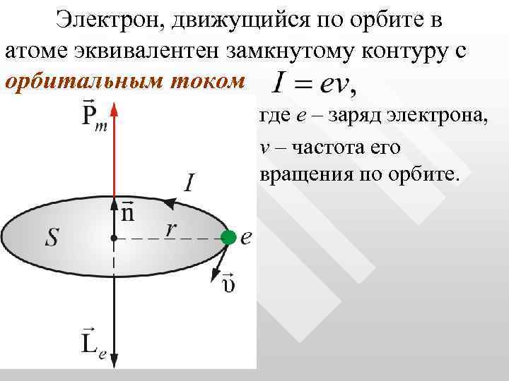 Электрон, движущийся по орбите в атоме эквивалентен замкнутому контуру с орбитальным током где е