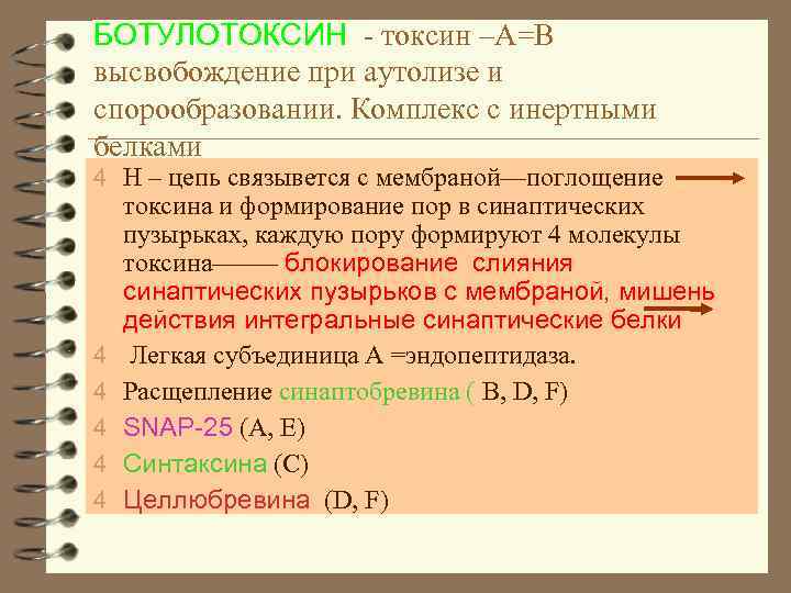 БОТУЛОТОКСИН - токсин –А=В высвобождение при аутолизе и спорообразовании. Комплекс с инертными белками 4
