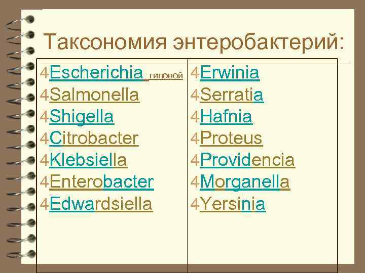 Таксономия энтеробактерий: 4 Escherichia типовой 4 Salmonella 4 Shigella 4 Citrobacter 4 Klebsiella 4