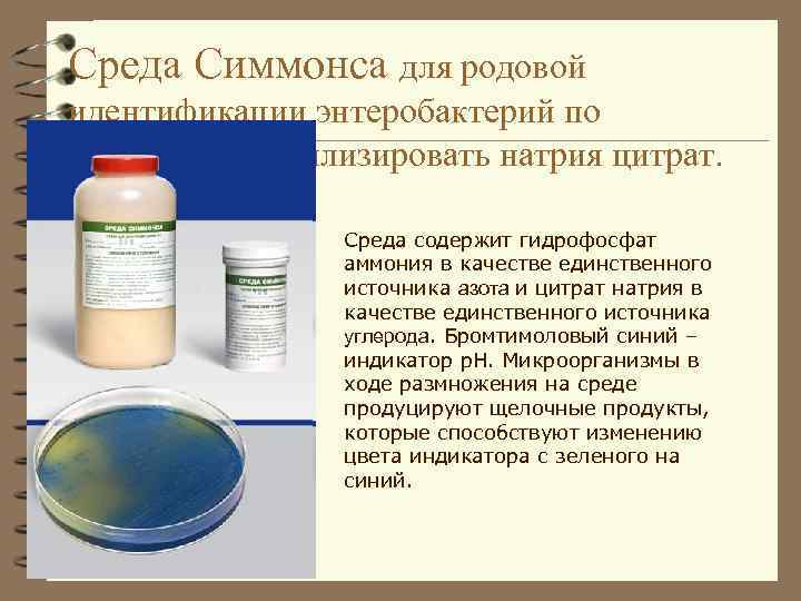 Среда Симмонса для родовой идентификации энтеробактерий по способности утилизировать натрия цитрат. Среда содержит гидрофосфат
