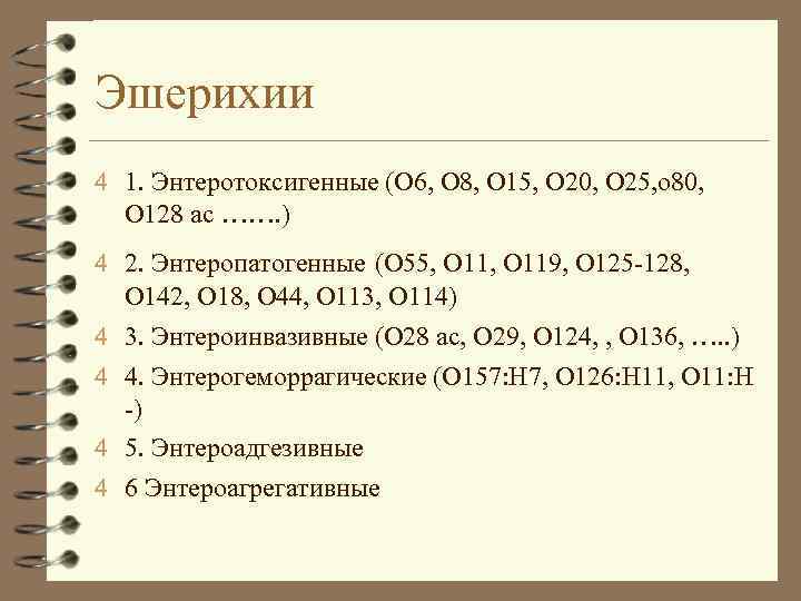 Эшерихии 4 1. Энтеротоксигенные (О 6, О 8, О 15, О 20, О 25,