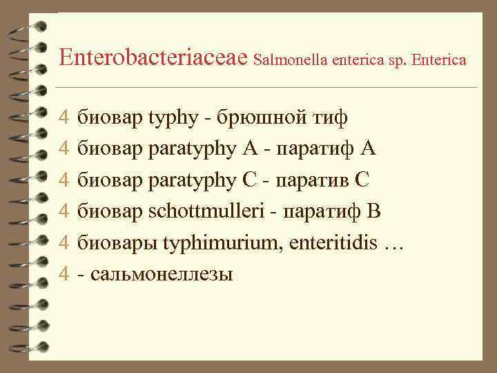 Enterobacteriaceae Salmonella enterica sp. Enterica 4 биовар typhy - брюшной тиф 4 биовар paratyphy