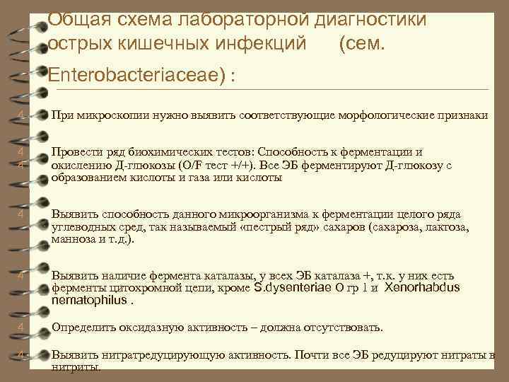 Общая схема лабораторной диагностики острых кишечных инфекций (сем. Enterobacteriaceae) : 4 При микроскопии нужно
