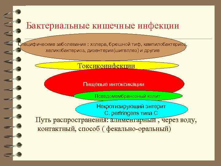 Бактериальные кишечные инфекции Специфическме заболевания : холера, брюшной тиф, кампилобактериоз, хеликобактериоз, дизентерия(шигеллез) и другие