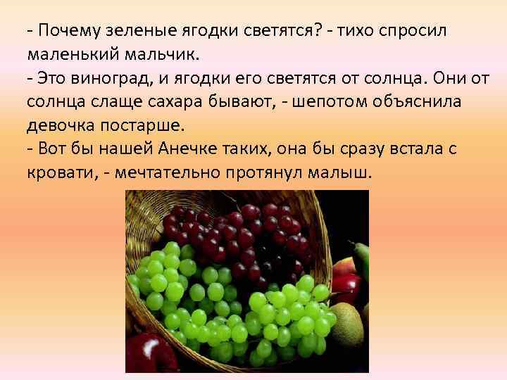 - Почему зеленые ягодки светятся? - тихо спросил маленький мальчик. - Это виноград, и