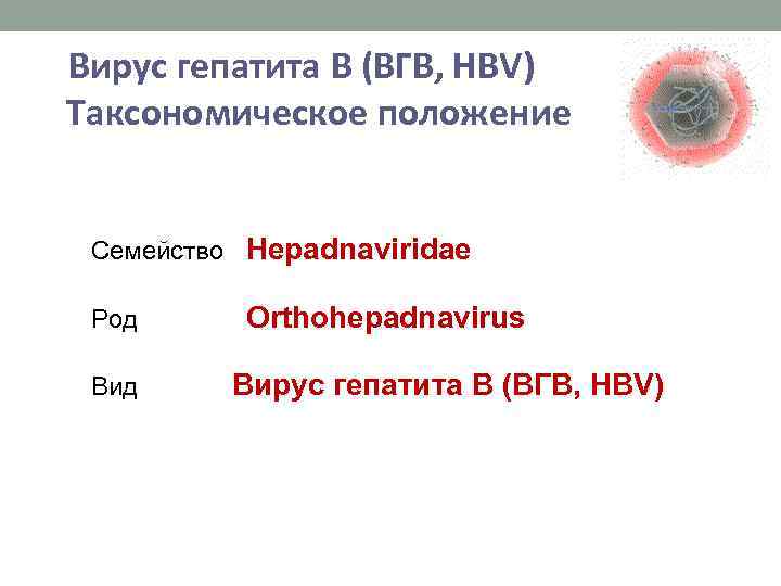 Вирус гепатита B (ВГB, HBV) Таксономическое положение Вирусгепатита. В. Таксономическоеположение Семейство Hepadnaviridae Род Вид