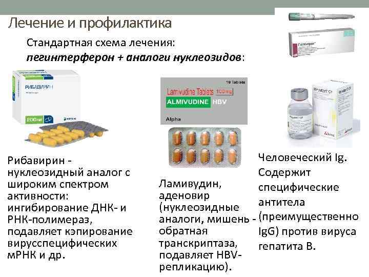 Лечение и профилактика Стандартная схема лечения: пегинтерферон + аналоги нуклеозидов: Рибавирин нуклеозидный аналог с