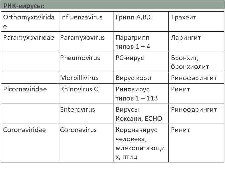 РНК-вирусы: Orthomyxovirida Influenzavirus e Paramyxoviridae Paramyxovirus Pneumovirus Picornaviridae Morbillivirus Rhinovirus C Enterovirus Coronaviridae Coronavirus