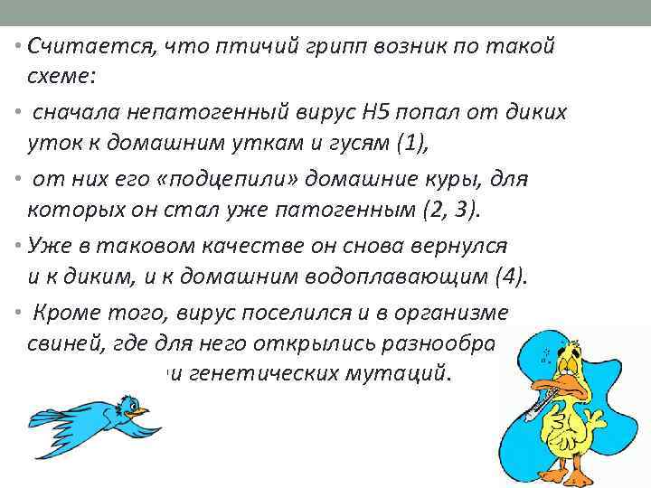  • Считается, что птичий грипп возник по такой схеме: • сначала непатогенный вирус