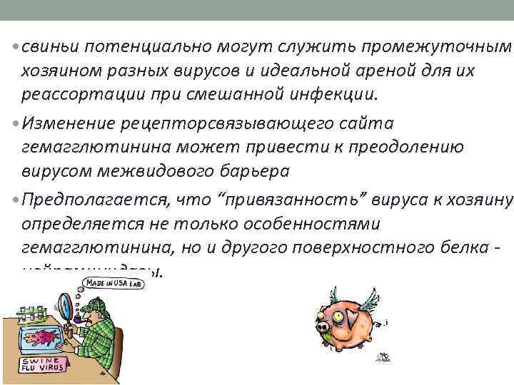  • свиньи потенциально могут служить промежуточным хозяином разных вирусов и идеальной ареной для