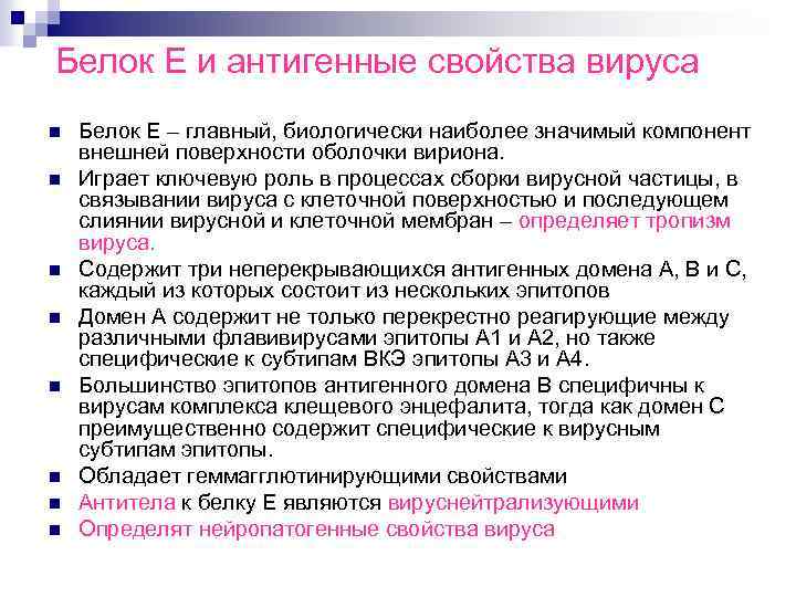 Белок Е и антигенные свойства вируса n n n n Белок Е – главный,