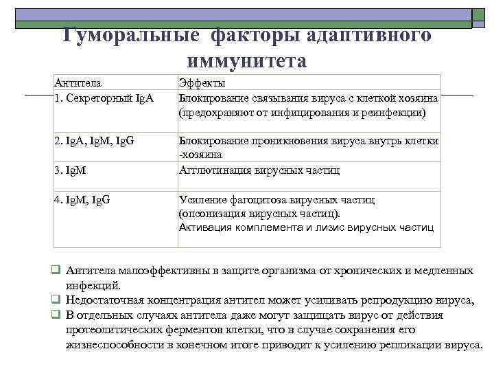 Гуморальные факторы адаптивного иммунитета Антитела 1. Секреторный Ig. А Эффекты Блокирование связывания вируса с