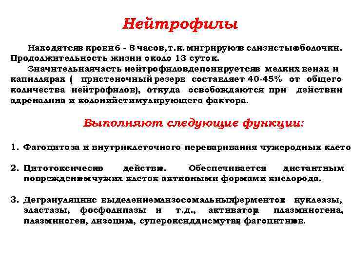 Нейтрофилы Находятсяв крови 6 - 8 часов, т. к. мигрируют слизистые в оболочки. Продолжительность