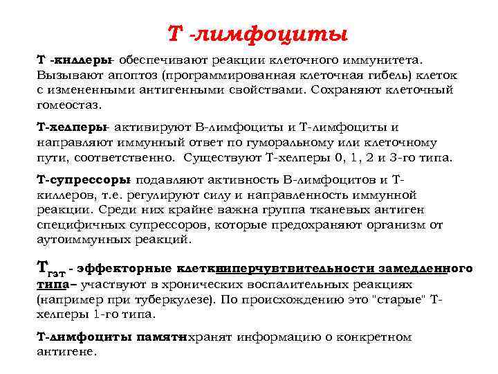 Т -лимфоциты Т -киллеры- обеспечивают реакции клеточного иммунитета. Вызывают апоптоз (программированная клеточная гибель) клеток
