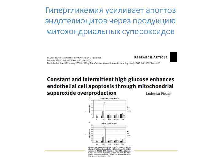 Гипергликемия усиливает апоптоз эндотелиоцитов через продукцию митохондриальных супероксидов 