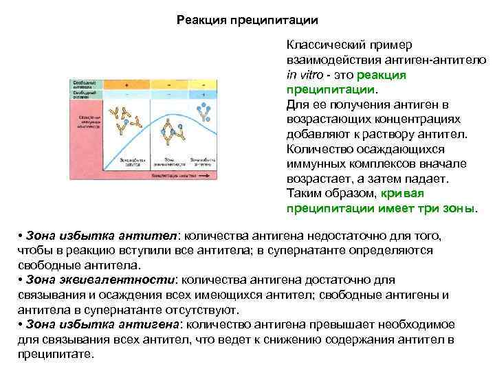 Реакция преципитации презентация