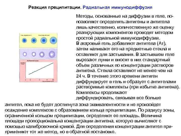 Радиальная иммунодиффузия по манчини презентация - 98 фото