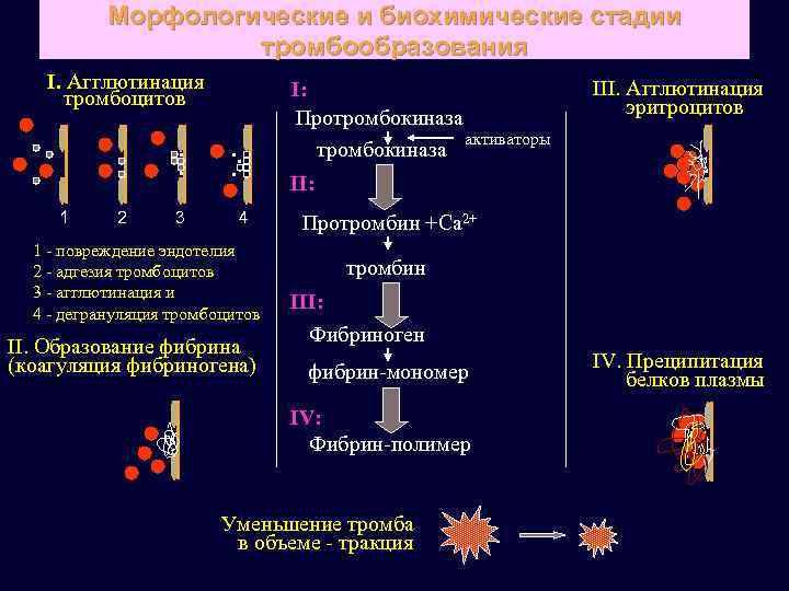 Этапы биохимического исследования