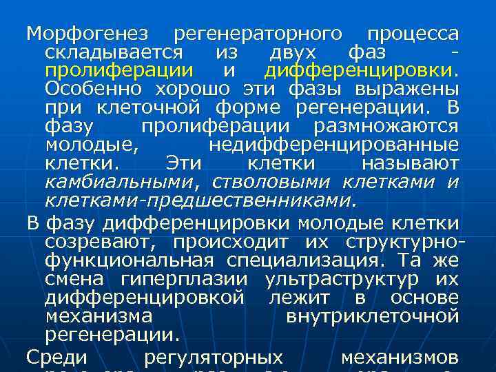 Морфогенез регенераторного процесса складывается из двух фаз пролиферации и дифференцировки. Особенно хорошо эти фазы