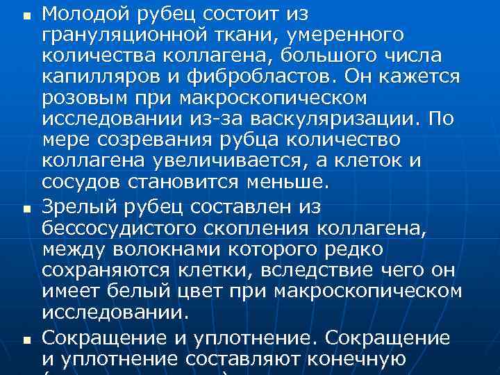 n n n Молодой рубец состоит из грануляционной ткани, умеренного количества коллагена, большого числа