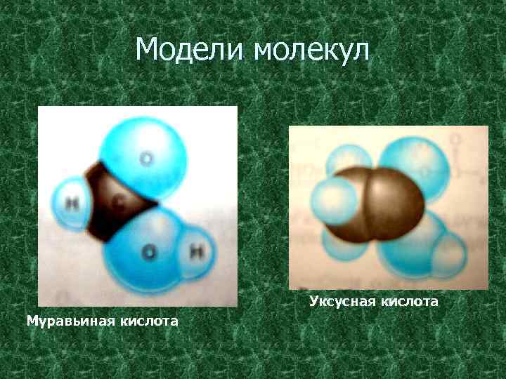 Модели молекул Уксусная кислота Муравьиная кислота 