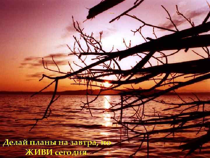 Делай планы на завтра, но ЖИВИ сегодня. 