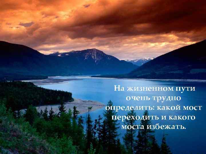На жизненном пути очень трудно определить: какой мост переходить и какого моста избежать. 