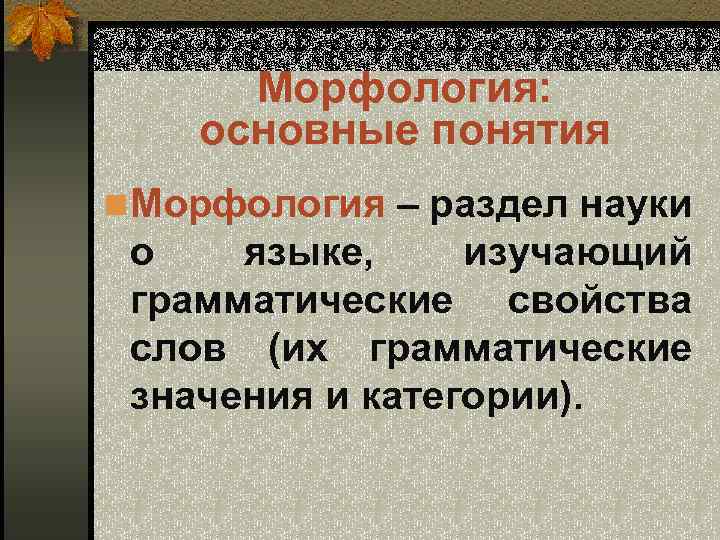 Морфология: основные понятия n Морфология – раздел науки о языке, изучающий грамматические свойства слов