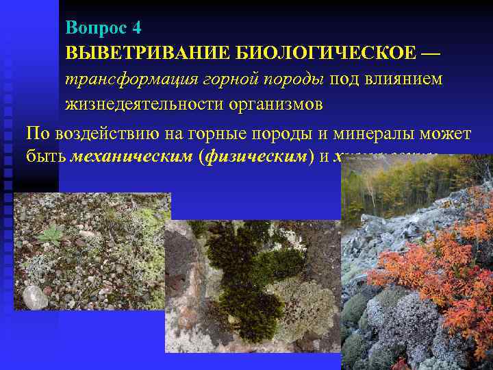 Вопрос 4 ВЫВЕТРИВАНИЕ БИОЛОГИЧЕСКОЕ — трансформация горной породы под влиянием жизнедеятельности организмов По воздействию