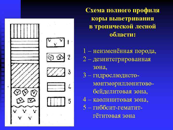 Схема полного профиля коры выветривания в тропической лесной области: 1 – неизменённая порода, 2