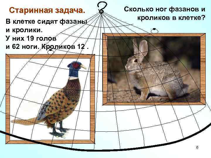 Старинная задача. В клетке сидят фазаны и кролики. У них 19 голов и 62