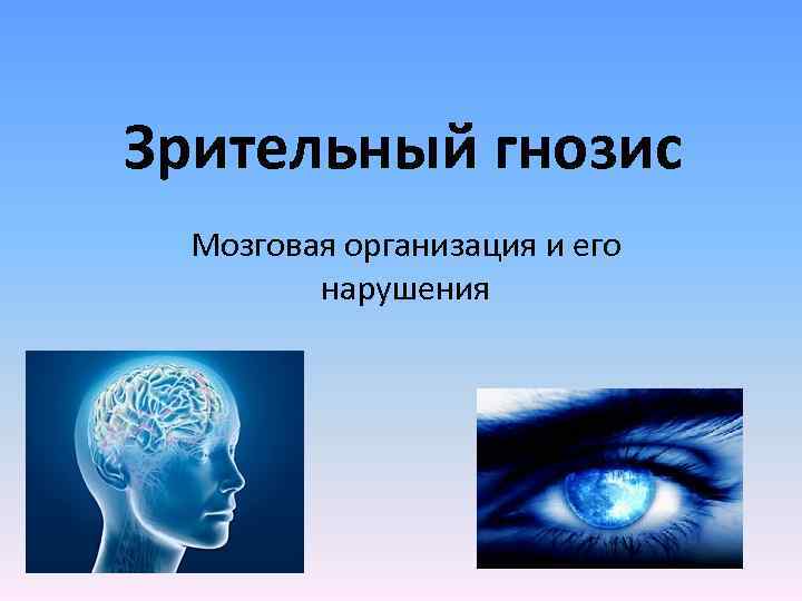 Гнозис. Зрительный Гнозис. Зрительный Гнозис презентация. Мозговая организация зрительный Гнозис. Гнозис неврология.