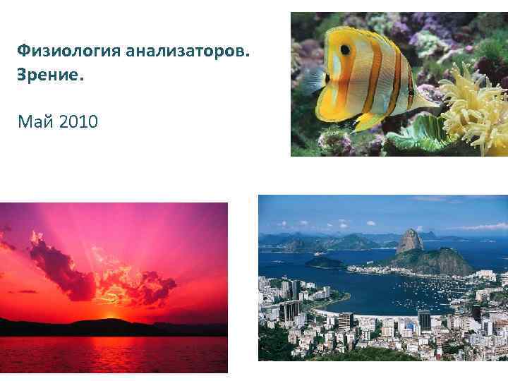 Физиология анализаторов. Зрение. Май 2010 