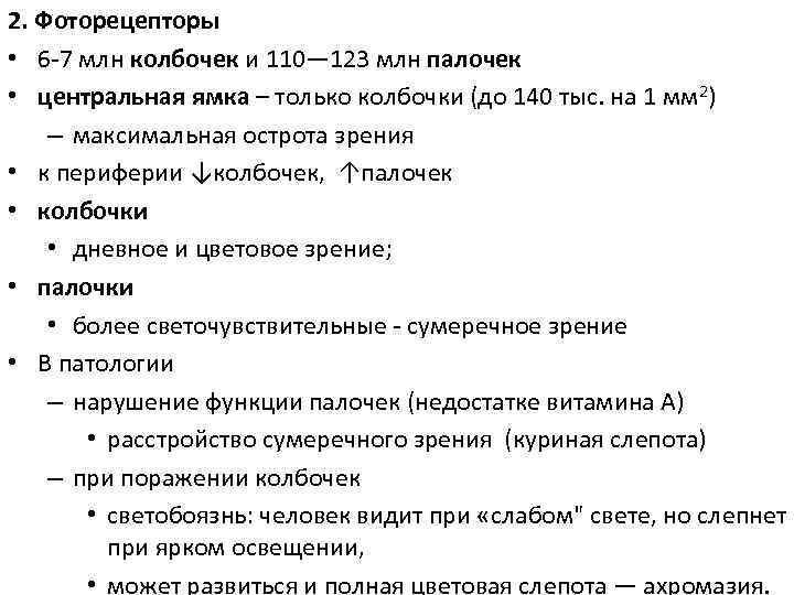2. Фоторецепторы • 6 -7 млн колбочек и 110— 123 млн палочек • центральная