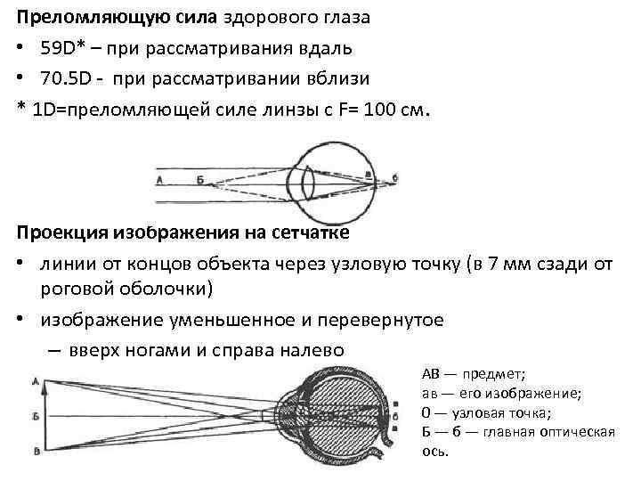 Почему изображение на сетчатке перевернуто