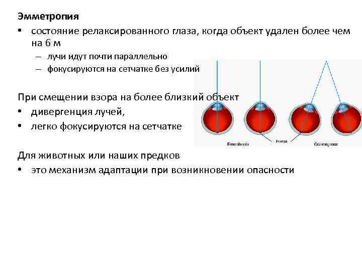 Эмметропия • состояние релаксированного глаза, когда объект удален более чем на 6 м –