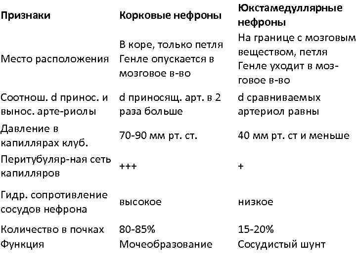 Юкстамедуллярные Признаки Корковые нефроны На границе с мозговым В коре, только петля веществом, петля