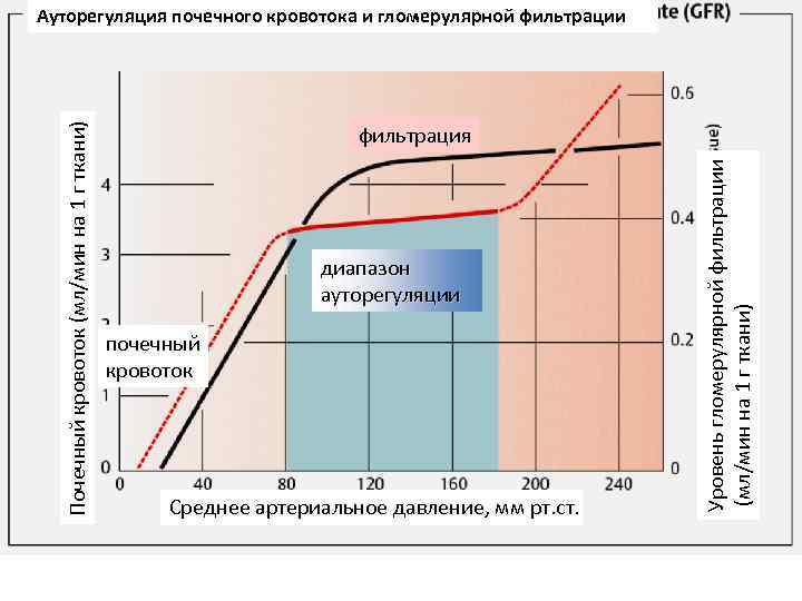 фильтрация диапазон ауторегуляции почечный кровоток Среднее артериальное давление, мм рт. ст. Уровень гломерулярной фильтрации