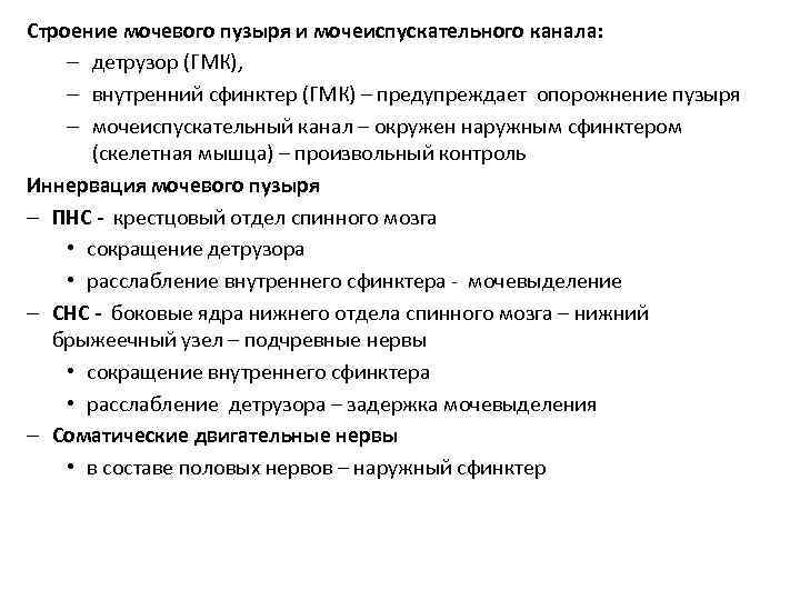 Строение мочевого пузыря и мочеиспускательного канала: – детрузор (ГМК), – внутренний сфинктер (ГМК) –