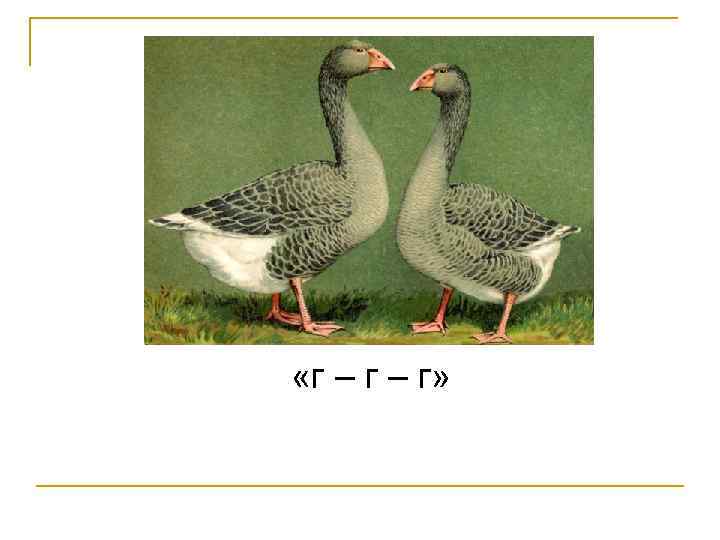  «г – г» 