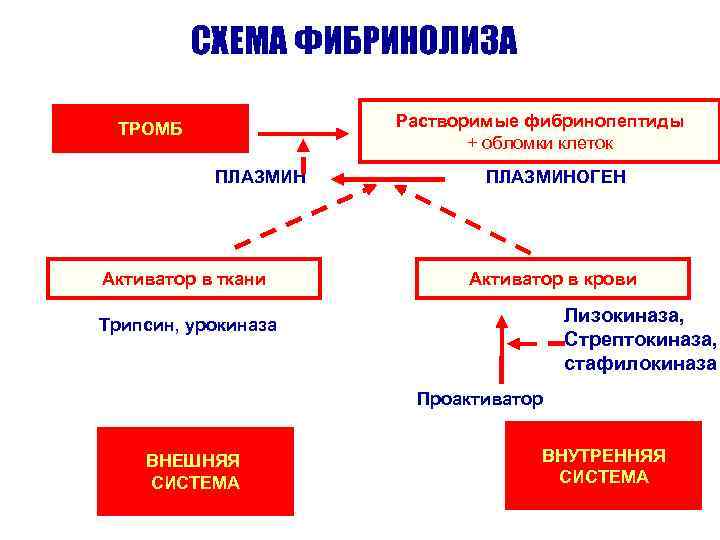 Схема фибринолиза физиология