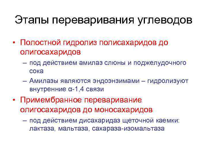 Участвует в переваривании. Этапы переваривания углеводов. Полостное переваривание углеводов. Этапы пищеварения углеводов. Переваривание полисахаридов.