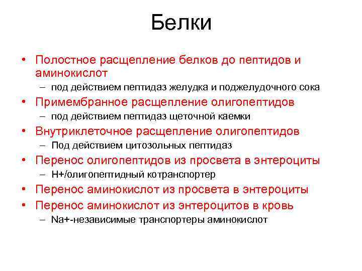 Расщепление белка происходит. Белки расщепляются до пептидов. Расщепление пептидов до аминокислот. Белки расщепляются до аминокислот под действием ферментов. Белки до пептидов.