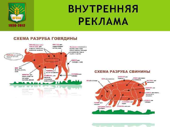 ВНУТРЕННЯЯ РЕКЛАМА 