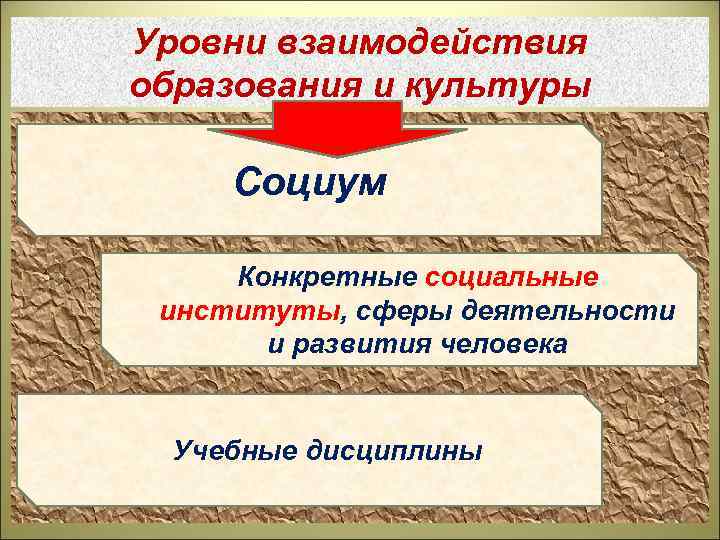 Уровни взаимодействия образования и культуры Социум Конкретные социальные институты, сферы деятельности и развития человека