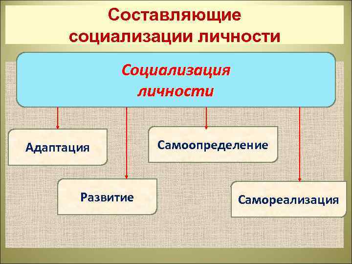 Агенты стихийной социализации. Составляющие социализации. Составляющие социализации личности. Составляющие процесса социализации. 4 Составляющие социализации.