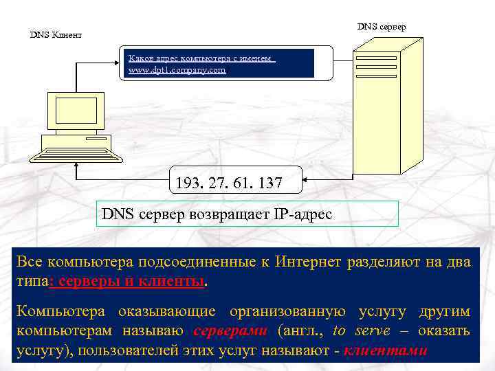 DNS сервер DNS Клиент Каков адрес компьютера с именем www. dpt 1. company. com?